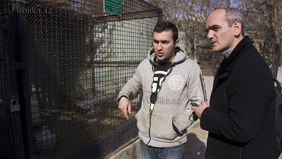 “Qəfəslərdən telefon, kabab şişi, çətir çıxır...” – zooparkın heyvan baxıcısı ilə İŞGÜZAR SÖHBƏT